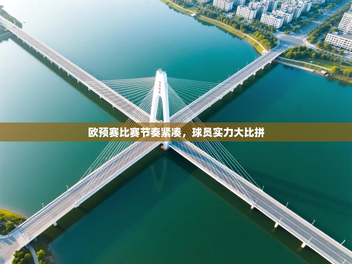 欧预赛比赛节奏紧凑，球员实力大比拼  第1张