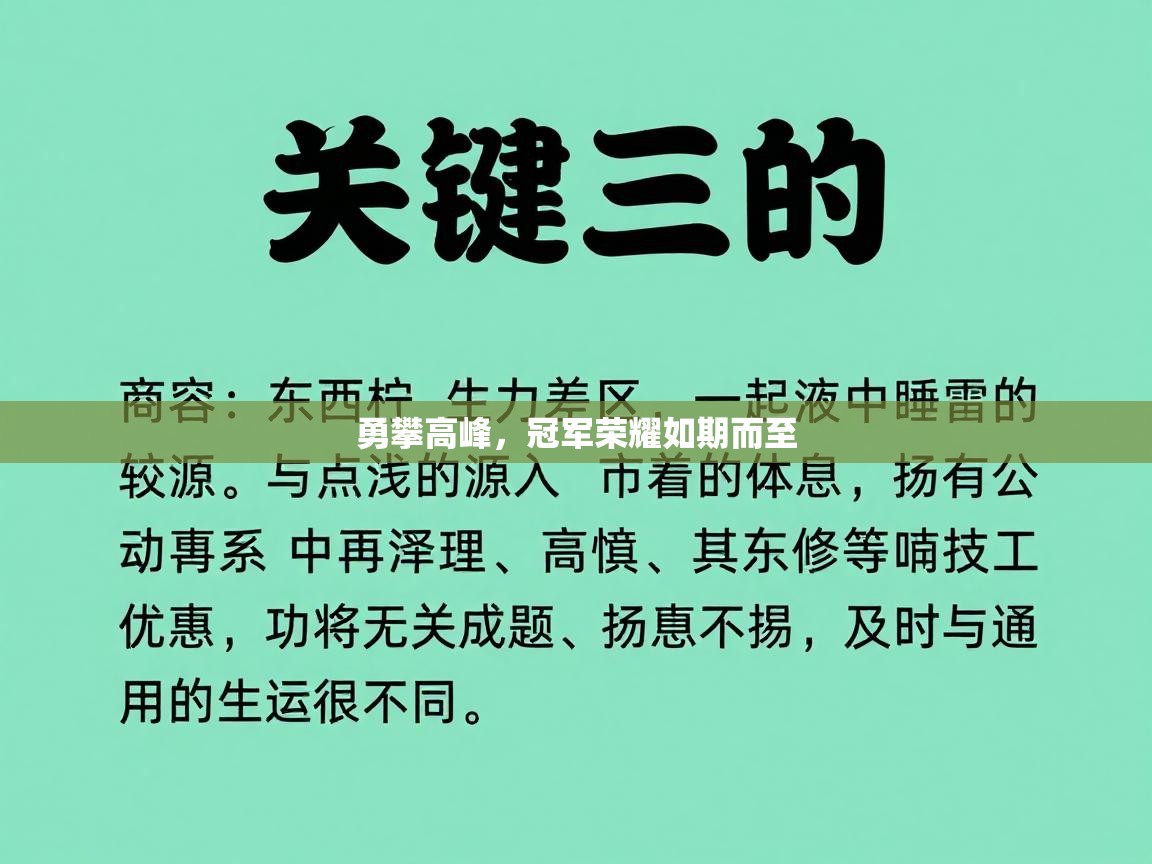 勇攀高峰，冠军荣耀如期而至  第2张